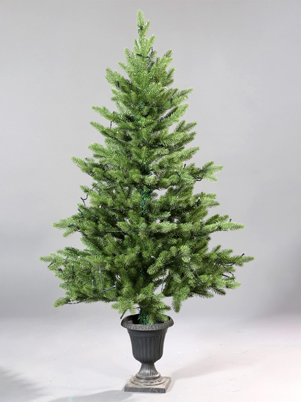 Saksıda Noel Ağacı 9A3A8774