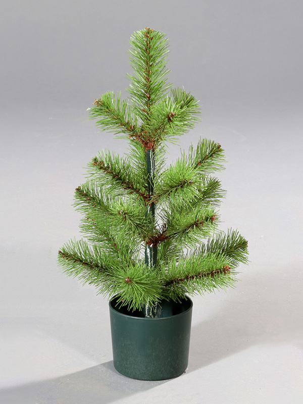 Saksıda Noel Ağacı 9A3A8834